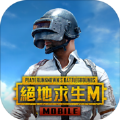 pubgm国际服2.4版本下载,pubg m国际服2.4版本手游下载安装 v2.4.0