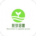 菜芽招聘APP下载,菜芽招聘APP最新版 v1.0