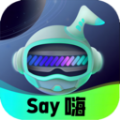 Say嗨元宇宙APP下载,Say嗨元宇宙社交APP最新版 v1.0.2