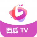 西瓜TV软件下载,西瓜TV追剧软件最新版 v1.0.0