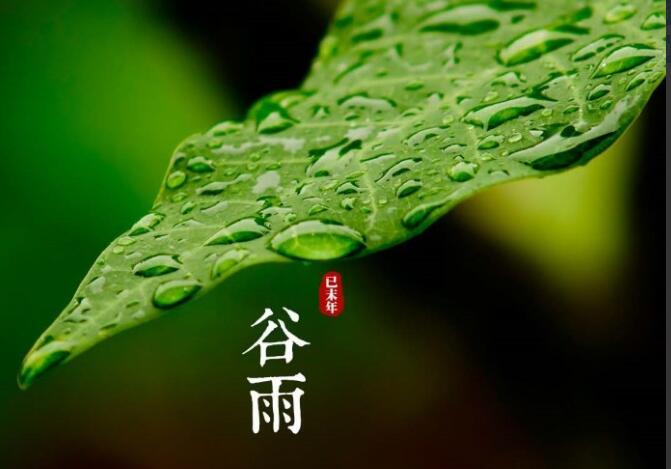 谷雨节气之后天气通常会有什么变化