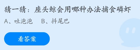 座头鲸会用哪种办法捕食磷虾