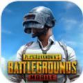 绝地求生pubgmobile下载手游下载,绝地求生pubgmobile国际服下载手游 v2.4.1