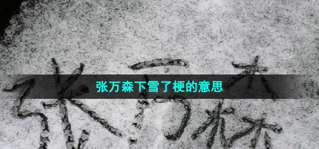 张万森下雪了梗的意思介绍