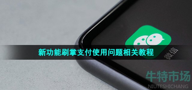 《微信》2023年刷掌支付使用教程汇总大全