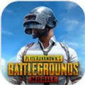 pubgmobile绝地求生刺激战场国际服下载,pubgmobile绝地求生刺激战场国际服官方下载 v2.4.1