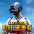 PUBG手游亚服国际版下载,PUBG MOBILE手游亚服国际版ios官方网站下载地址 v2.4.1