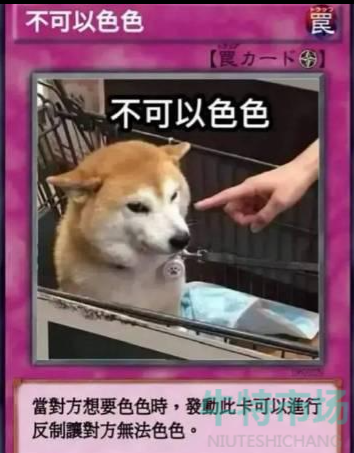 柴犬色色卡梗的意思介绍