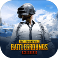 pubg测试服地铁逃生游戏下载,pubg测试服地铁逃生游戏下载安装 v2.6.0