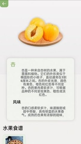 指尖果园提供水果饮食建议