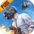 PUBG M国际服地铁逃生官方版下载,PUBG M国际服地铁逃生官方正版手机版 v2.6.0