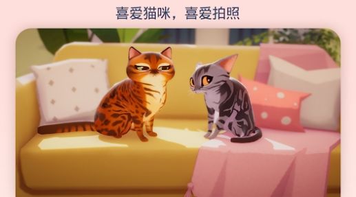 我的猫咪俱乐部新版下载安装图片1