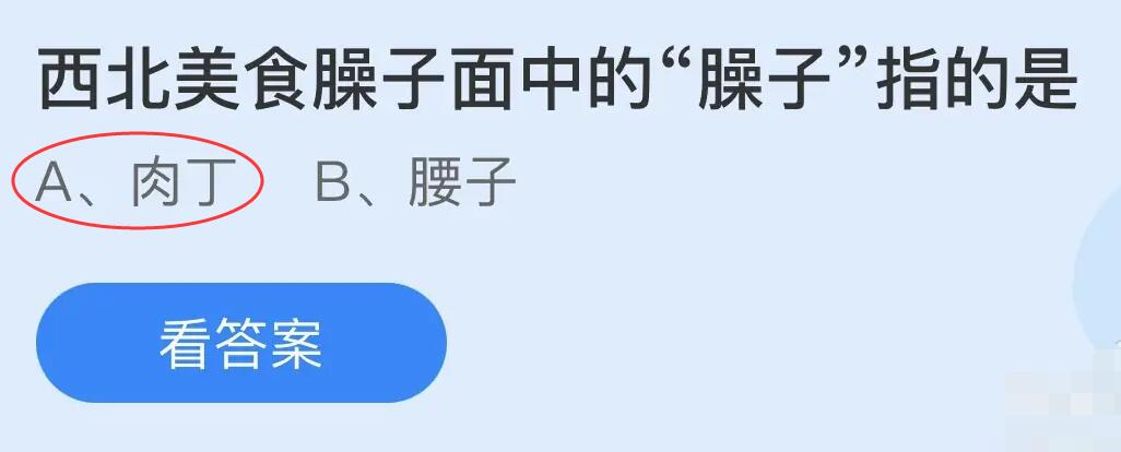 西北美食臊子面中的臊子指的是什么