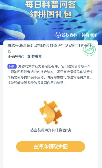 海豚等海洋哺乳动物通过群体进行活动的目的是什么