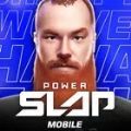 Power Slap下载安装下载,Power Slap游戏中文版下载安装 v0.3.6