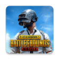 pubg国际服2.84版本下载,pubg绝地求生国际服2.84版本下载安装 v2.84