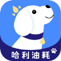 哈利油耗app下载,哈利油耗app官方版 v1.0