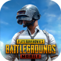 pubg2.8安装包下载,pubg（国际服）2.8安装包下载apk安卓版 v2.8.0