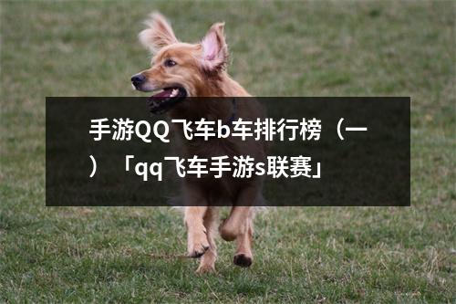 QQ飞车手游B车排行榜