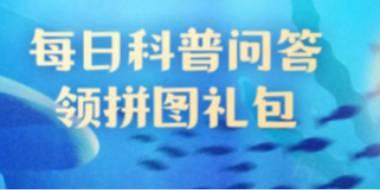 神奇海洋：哪种鱼是海洋中的变色高手？